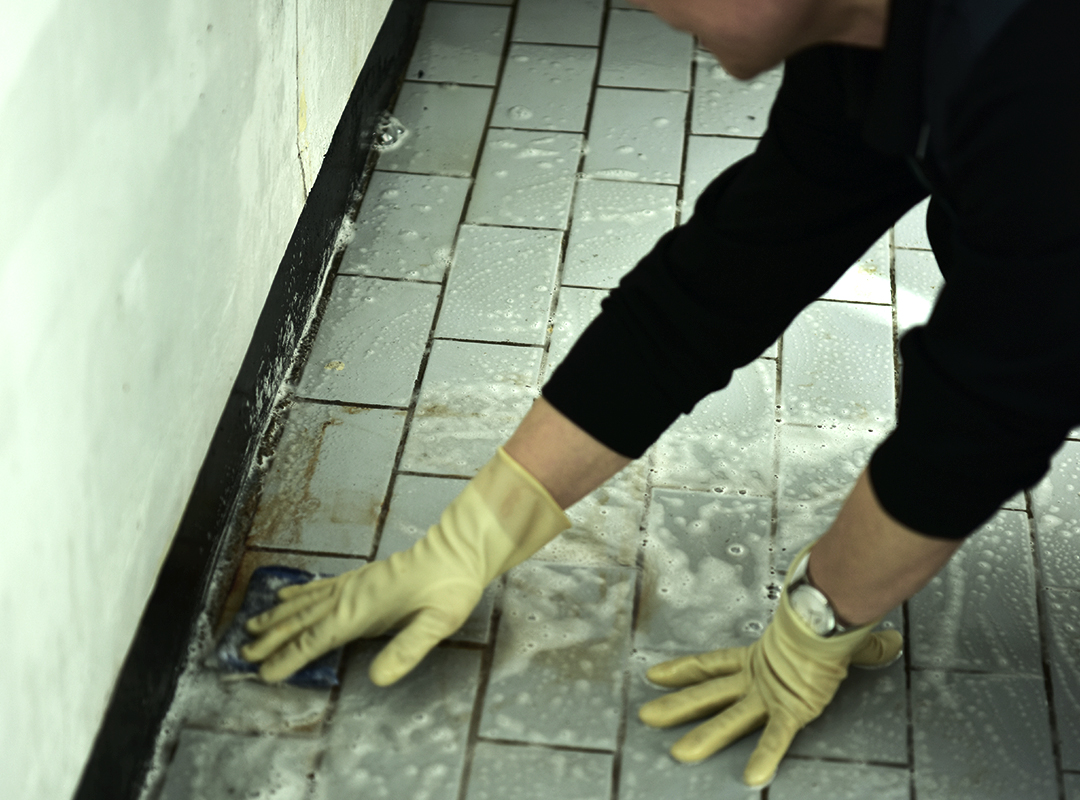 갤러리 이미지6