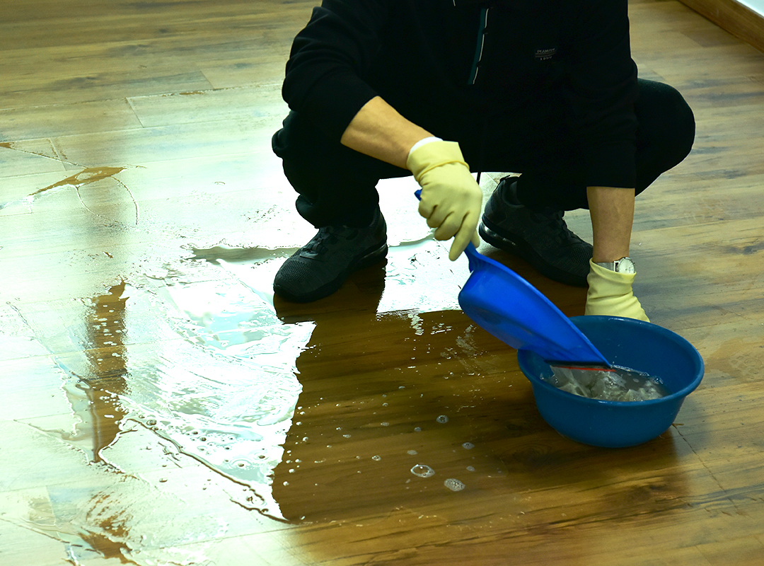 갤러리 이미지11