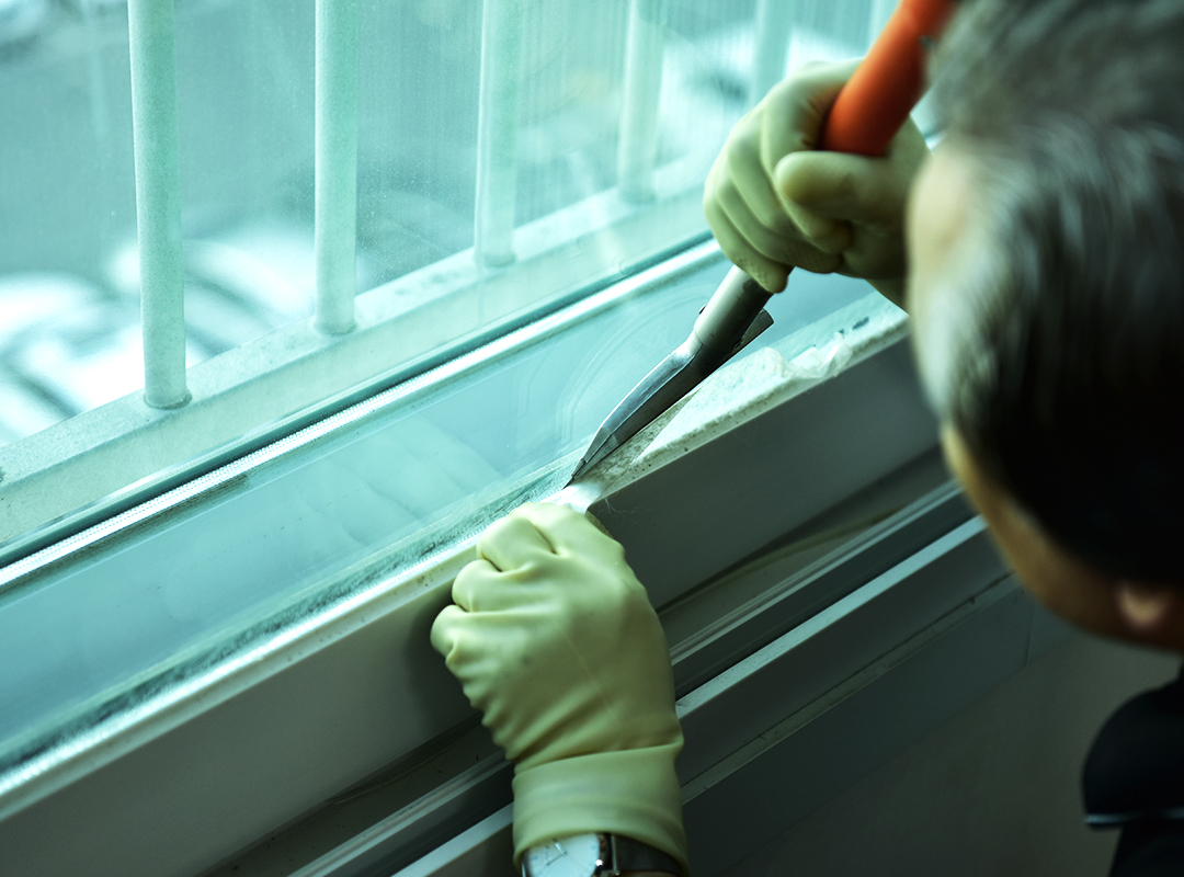 갤러리 이미지1