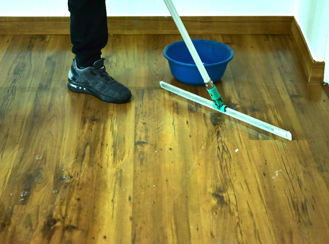 갤러리 이미지10