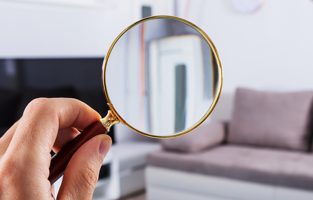 돋보기 사진